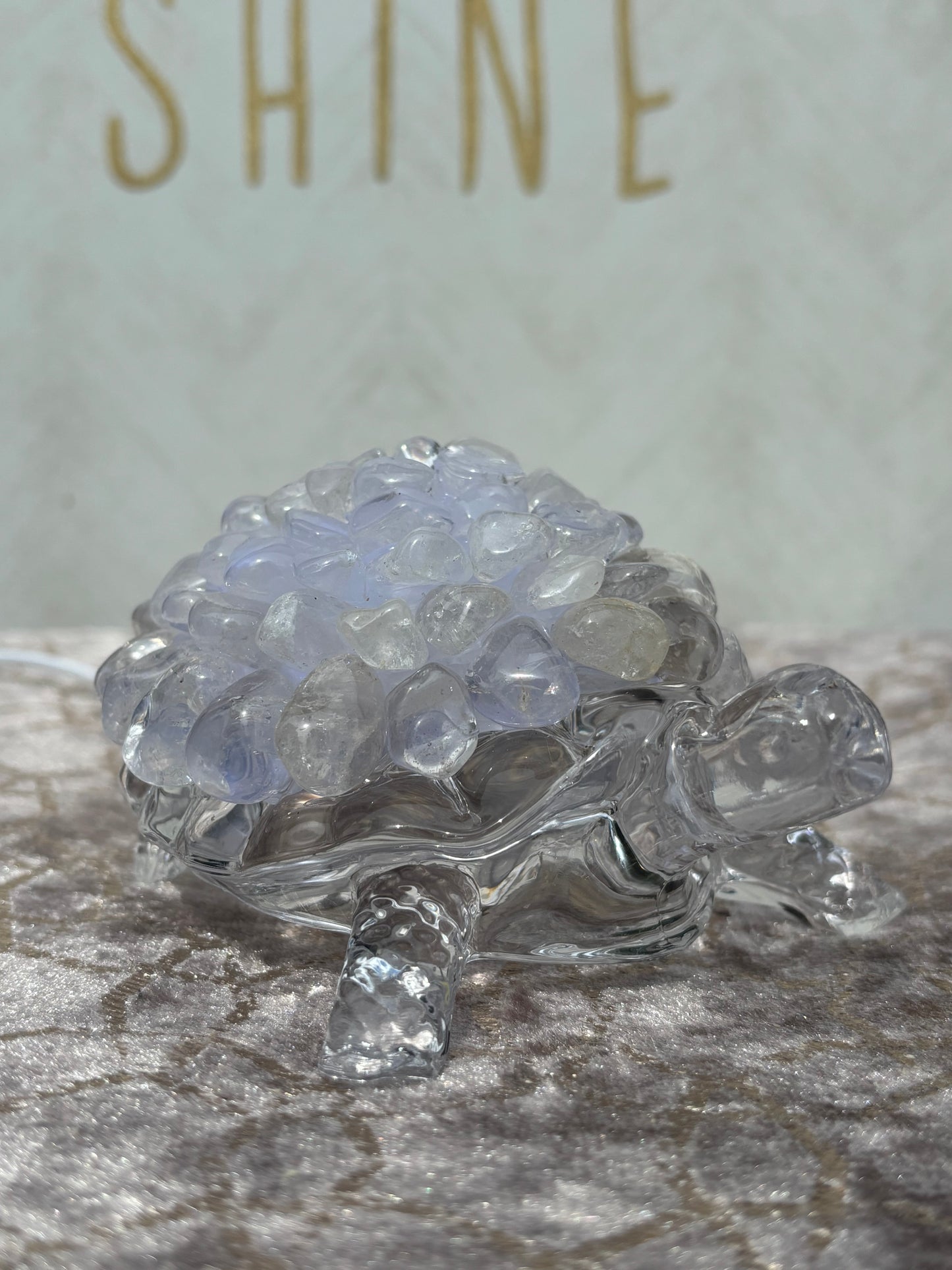 Clear Quartz Turtle Lamp with Clear Crystal Base