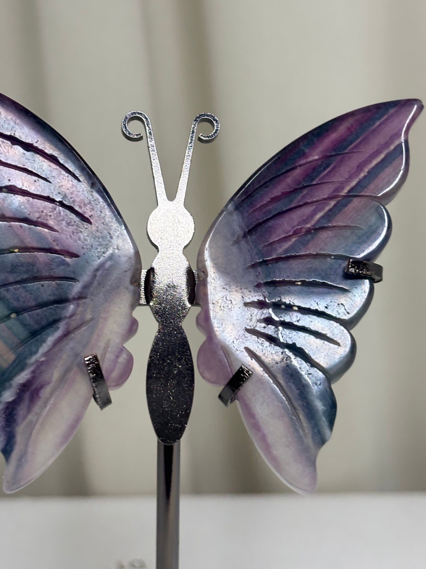 Fluorite Butterfly Wings on Stand