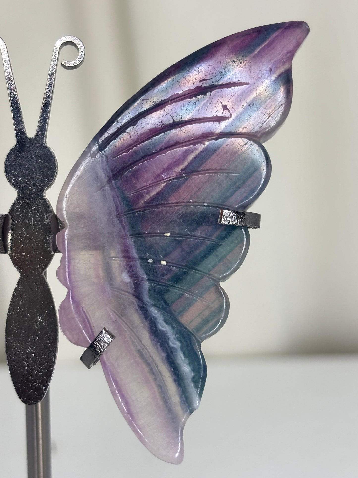 Fluorite Butterfly Wings on Stand