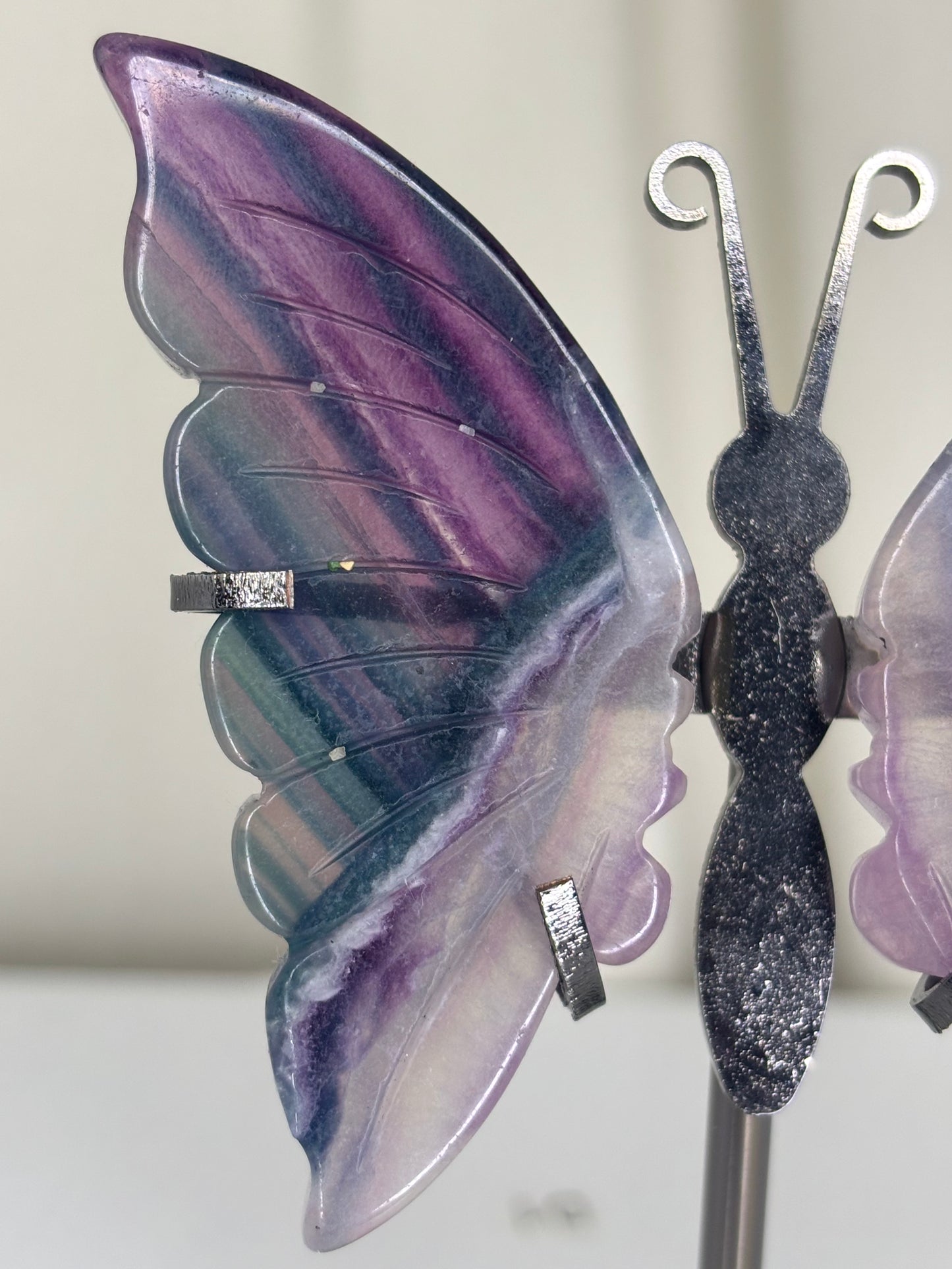 Fluorite Butterfly Wings on Stand